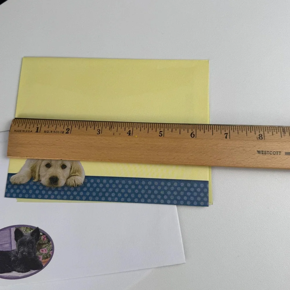 Jane Burton Puppy Get Well Soon Greeting‎ Cards Set of 3 with Envelopes USA Made